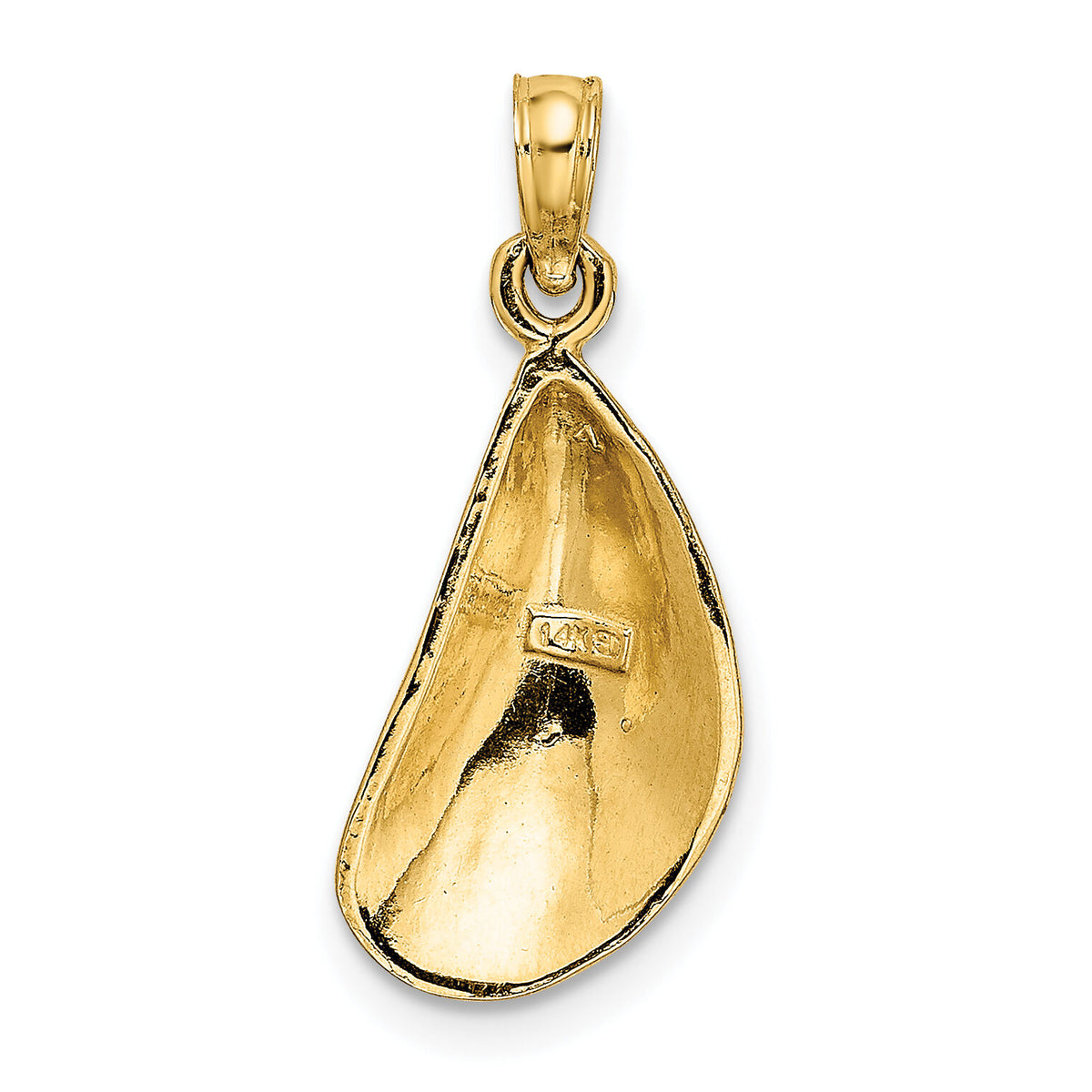 14K Polished Mussel Shell Charm-K7451