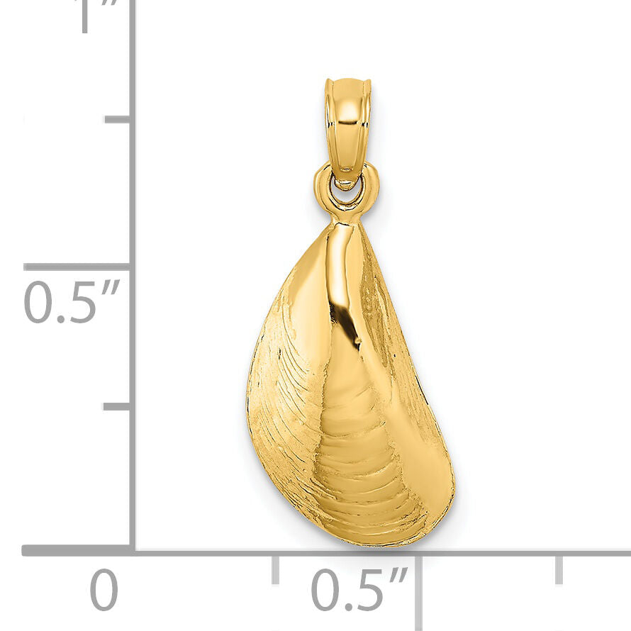 14K Polished Mussel Shell Charm-K7451