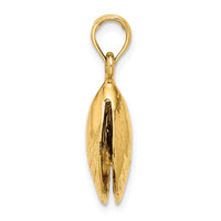 14K 3-D Polished Mussel Shell Charm-K7452