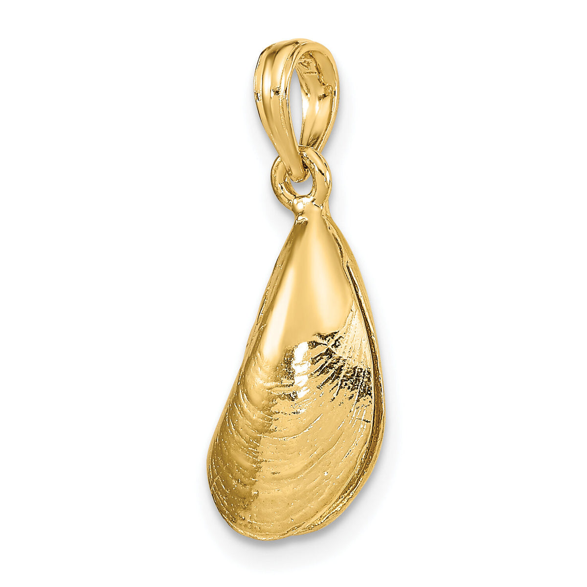 14K 3-D Polished Mussel Shell Charm-K7452