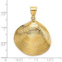 14K Textured Clam Shell Charm-K7529
