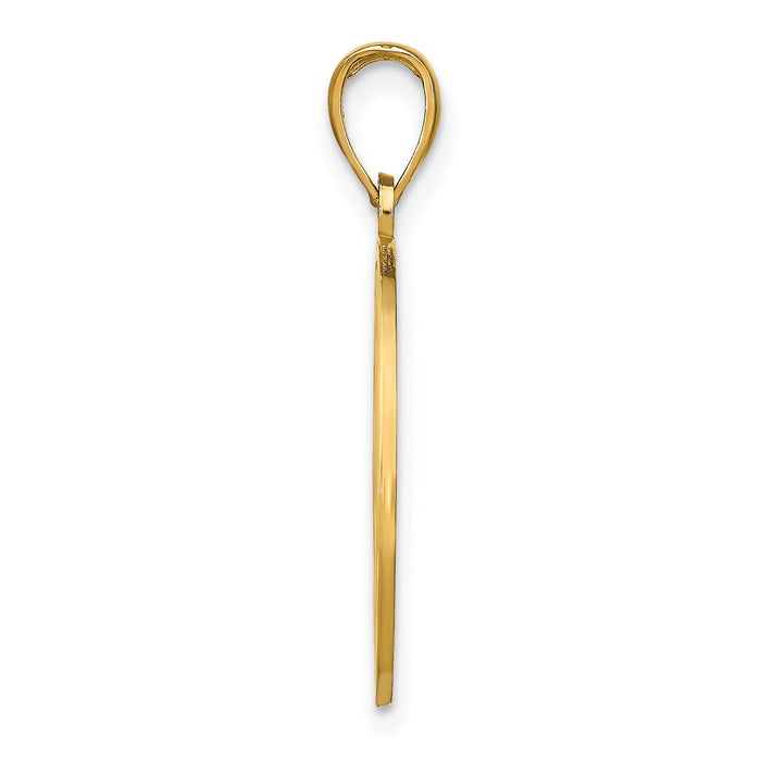 14k NAPLES Dolphins Pendant-K7566