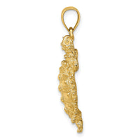 14K Land Turtle Charm-K7643
