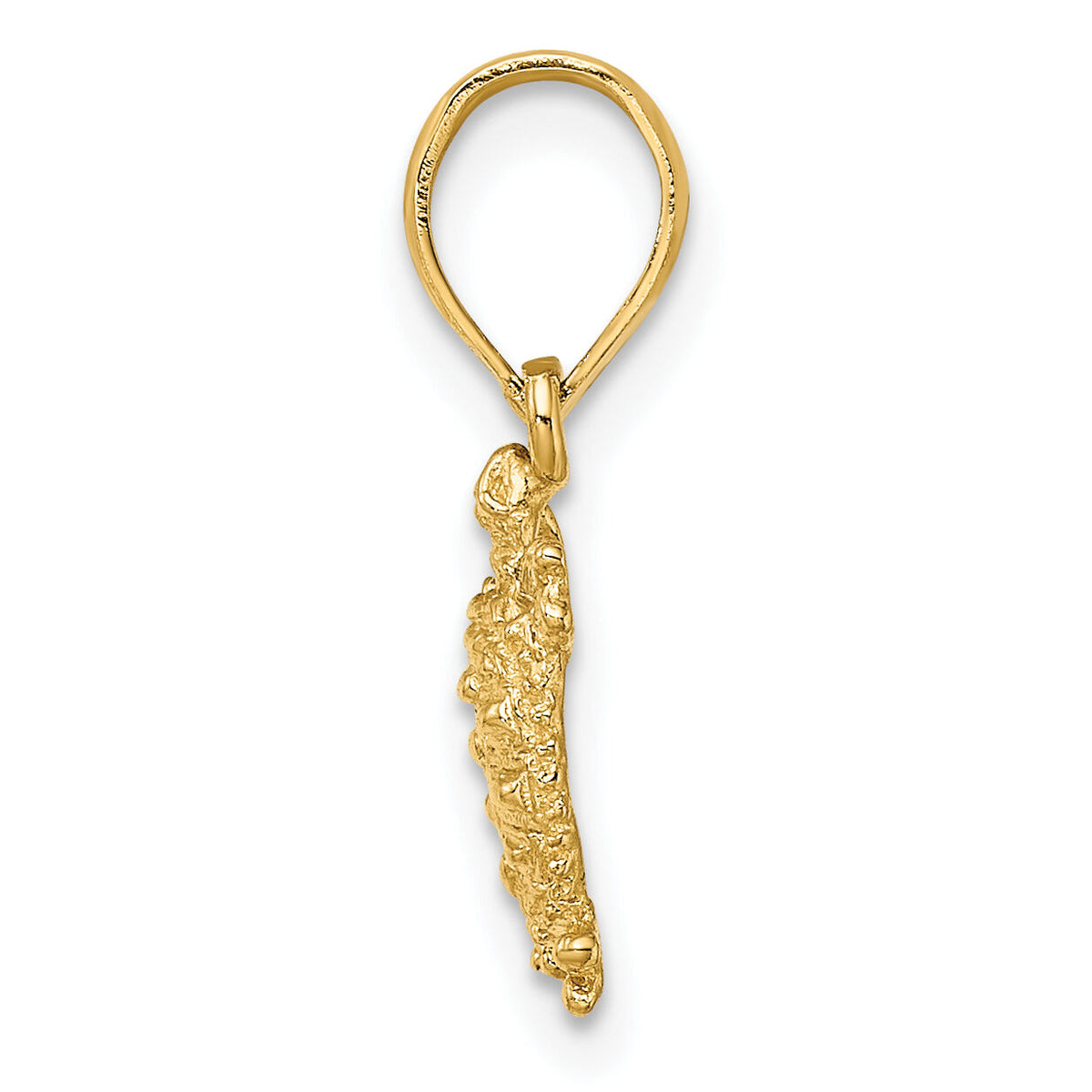 14K Land Turtle Charm-K7650