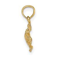14K Textured Sea Turtle Charm-K7651