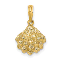 14K Textured Oyster Shell Charm-K7654