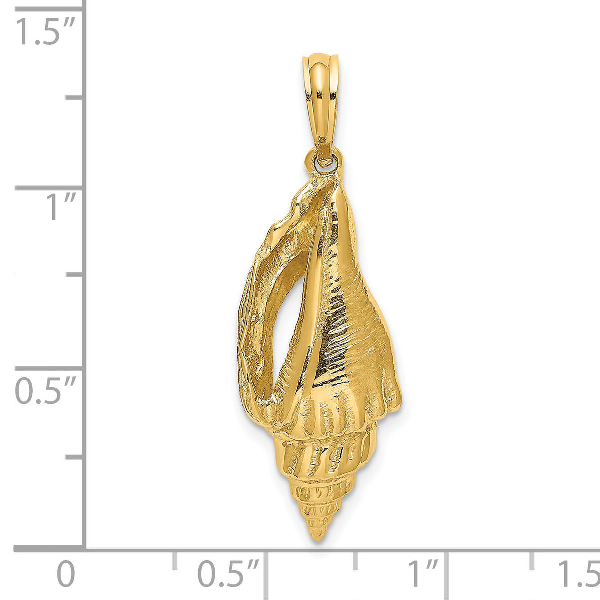 14K Polished Elongated Shell Charm-K7679