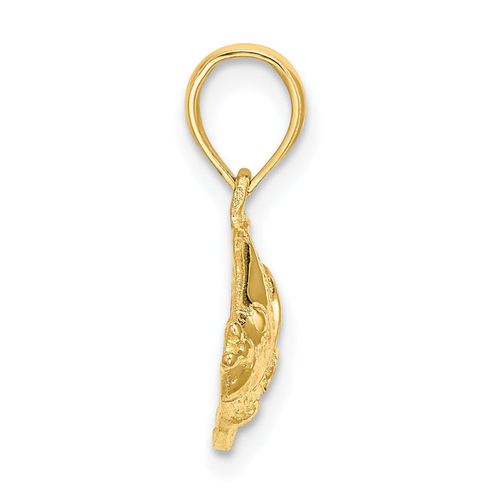 14K Polished Textured Fish Charm-K7685