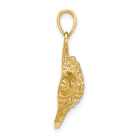 14K 2-D & Engraved Striped Fish Charm-K7692