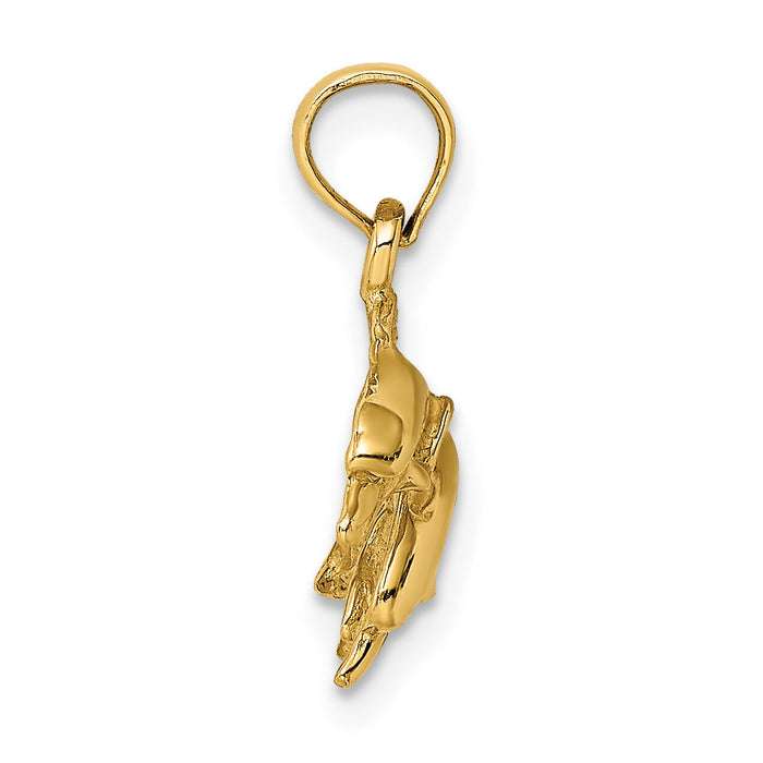 14K 2-D Polished Double Dolphins Jumping Left Charm-K7725
