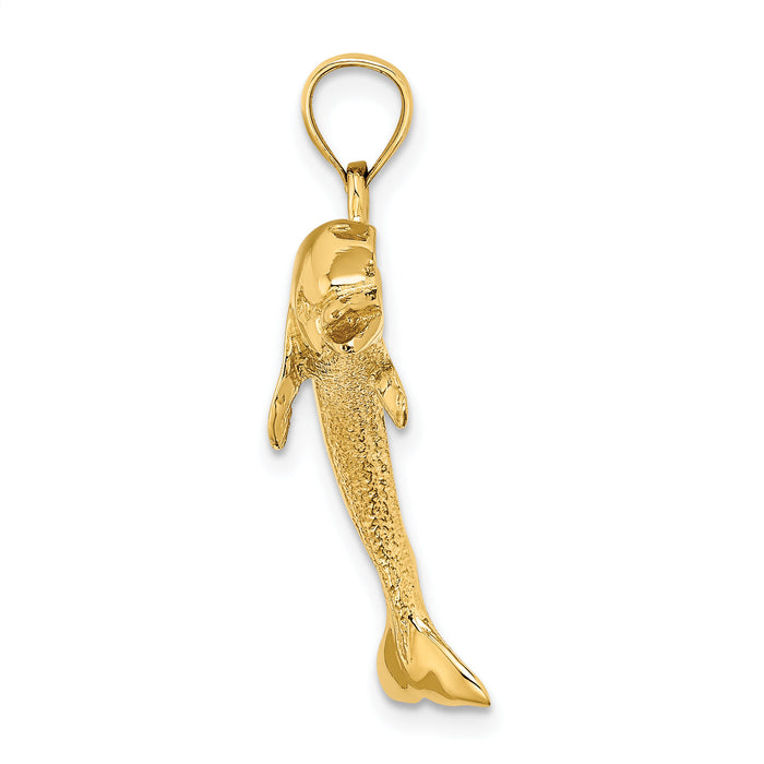 14K Polished Jumping Dolphin Charm-K7790