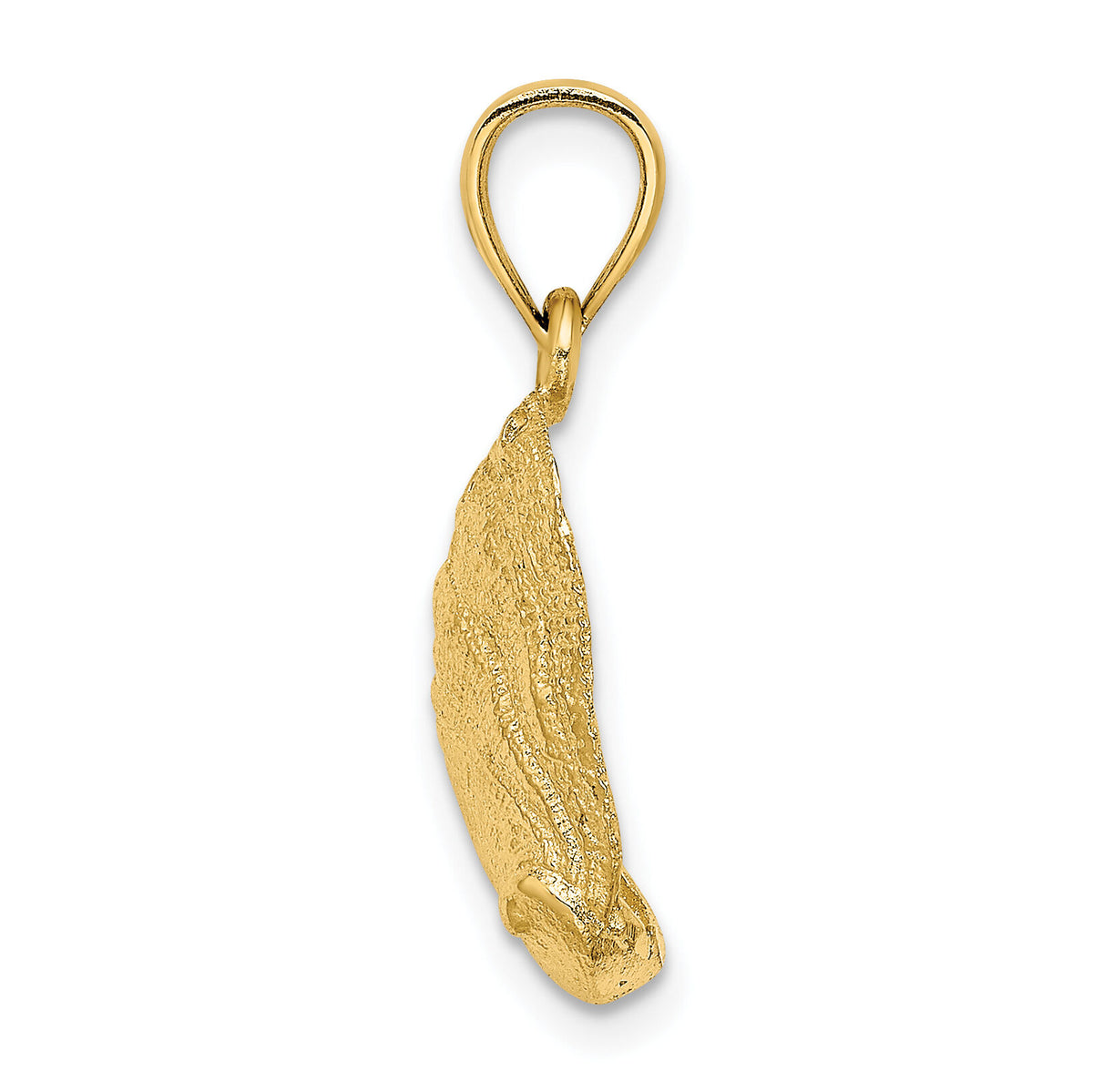 14K Abalone Shell Charm-K7795