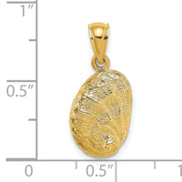 14K Abalone Shell Charm-K7795