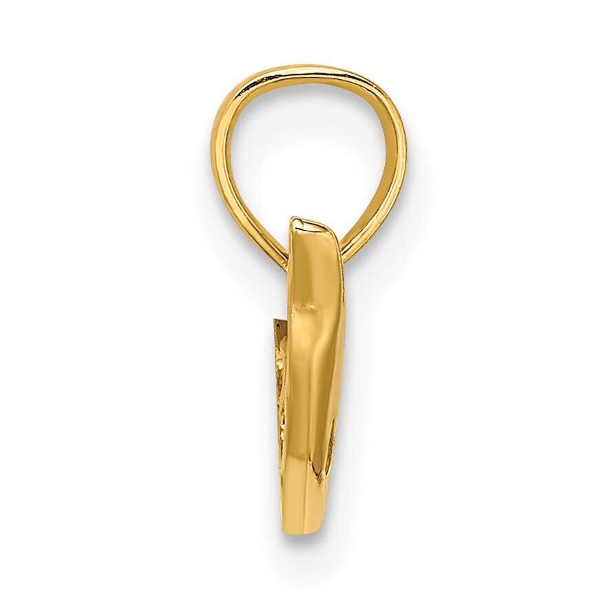 14K Polished Mini Dolphin Charm-K7820