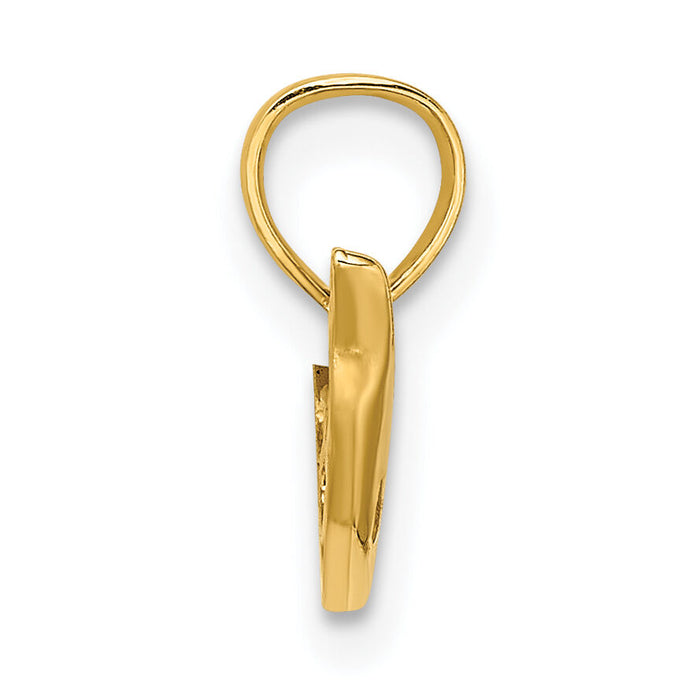 14K Polished Mini Dolphin Charm-K7820