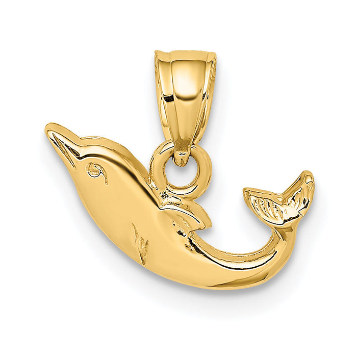 14K Polished Mini Dolphin Charm-K7820