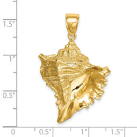 14K Texture 2-D Conch Shell Charm-K7834