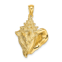 14K Conch Shell Charm-K7853