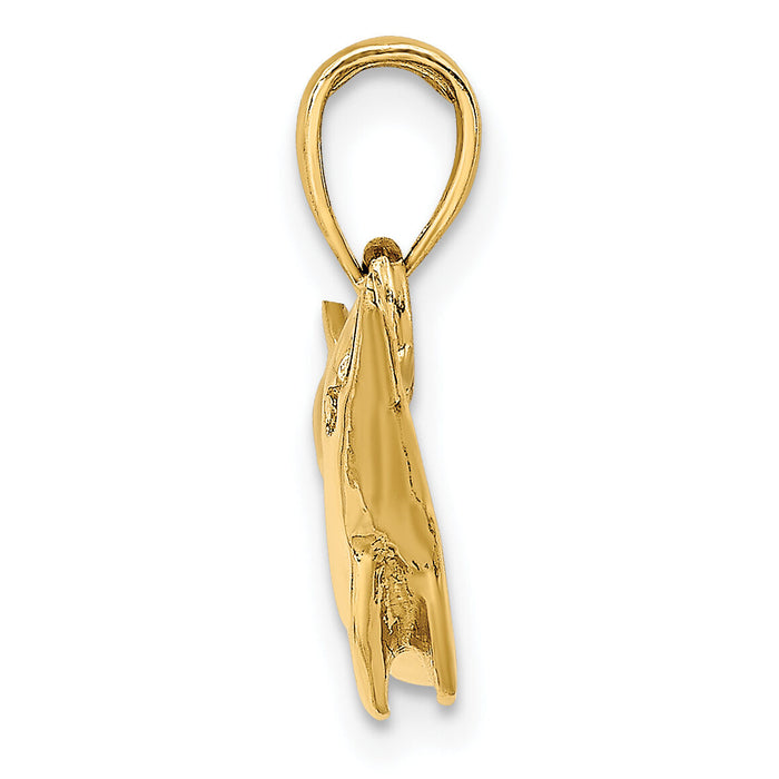 14K Polished Dolphin Charm-K7890