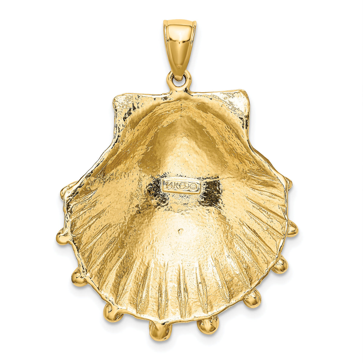 14K Lion's Paw Shell Charm-K7902