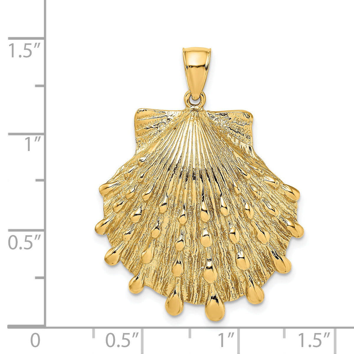 14K Lion's Paw Shell Charm-K7902