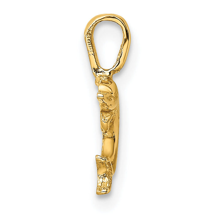 14K Mini Jumping Dolphin with Fixed Bail Charm-K7939