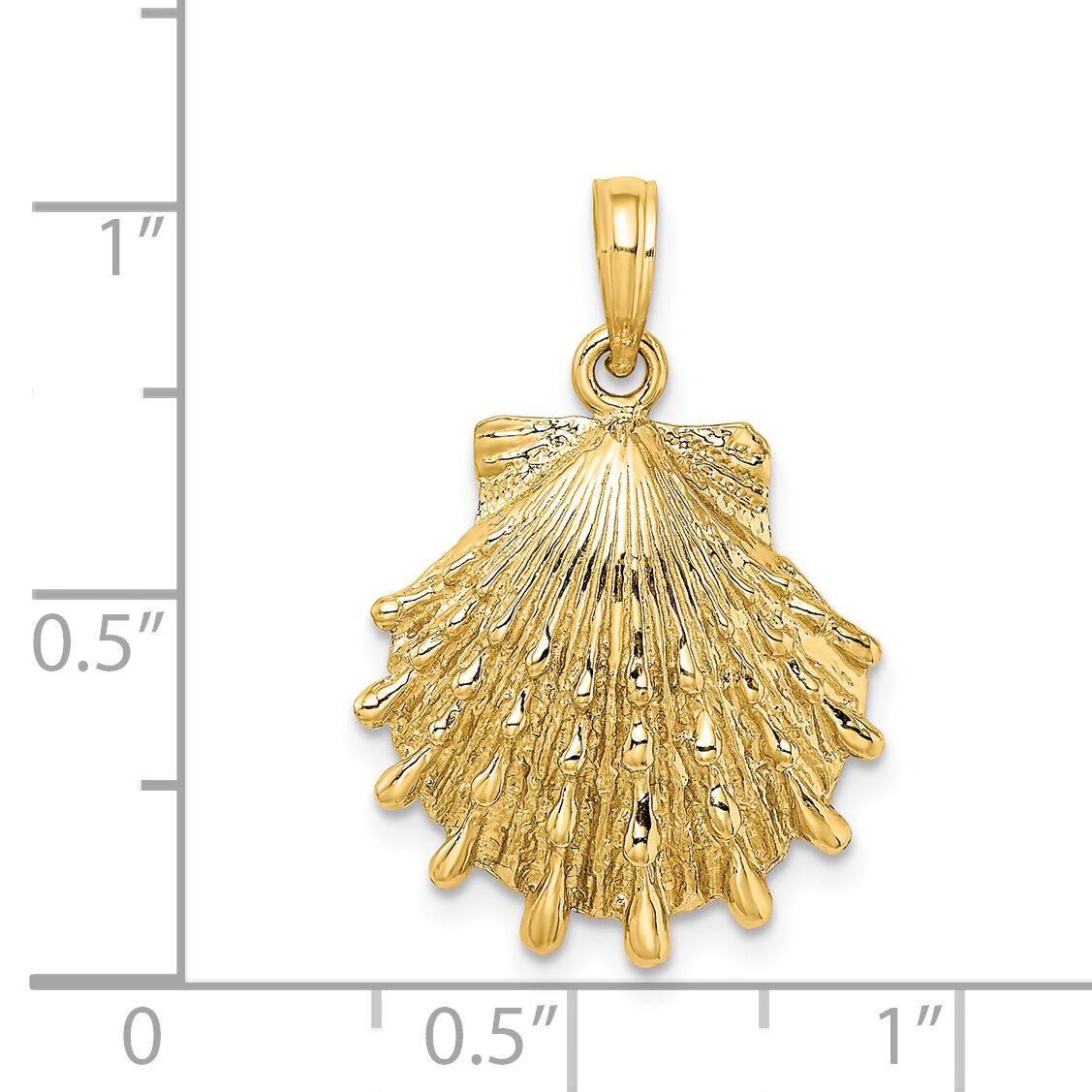 14K Lions Paw Shell Charm-K7965