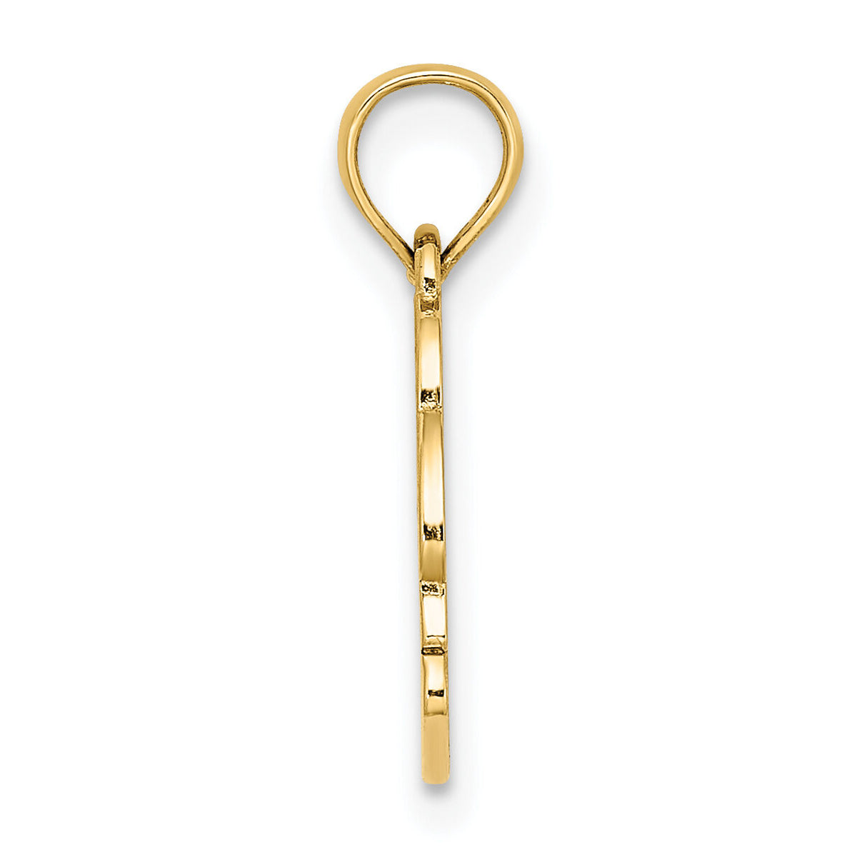 14K Textured NAGS HEAD w/ Dolphin Charm-K8041