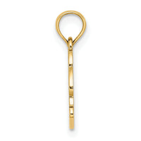 14K Textured NAGS HEAD w/ Dolphin Charm-K8041