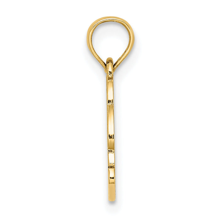 14K Textured NAGS HEAD w/ Dolphin Charm-K8041