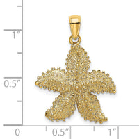 14K Textured Starfish Charm-K8066