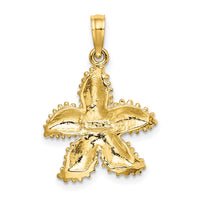 14K Textured Starfish Charm-K8067