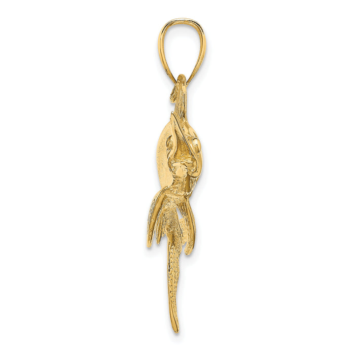 14K 2-D Polished/Satin Swordfish Charm-K8105