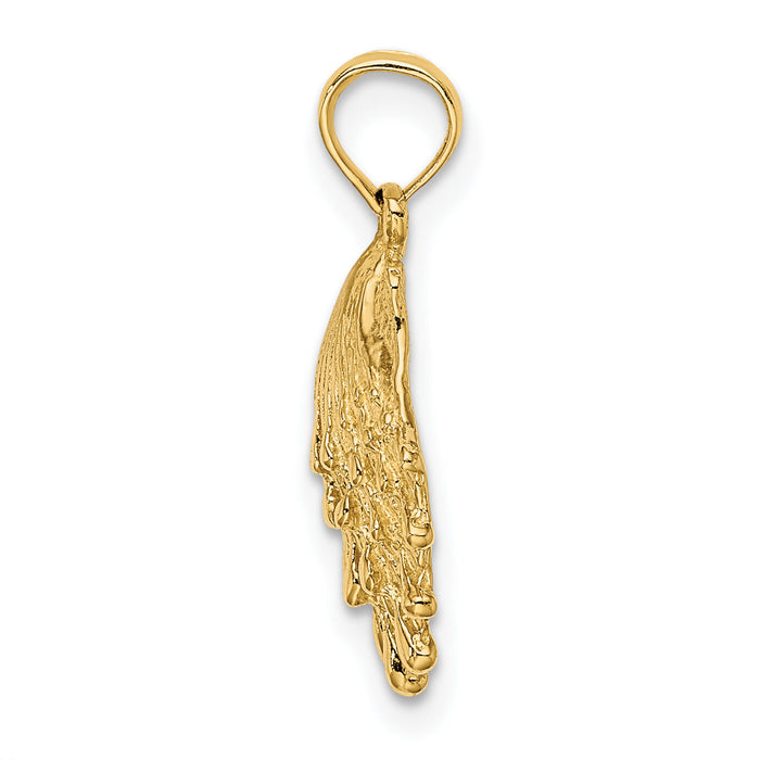 14K Lion's Paw Shell Charm-K8126