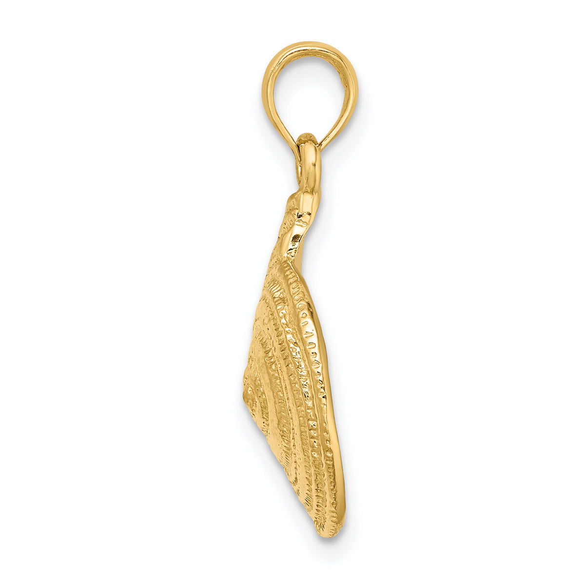 14K Textured Troca Shell Charm-K8135