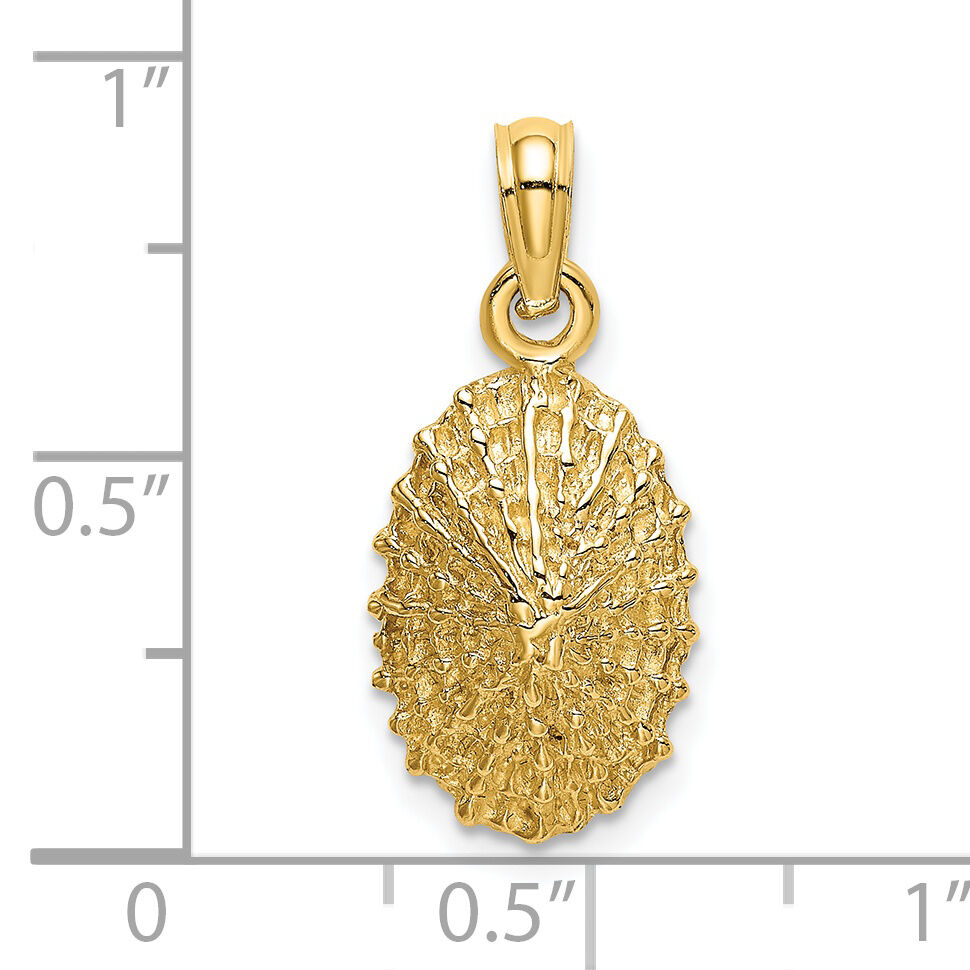 14K Textured Limpet Shell Charm-K8137