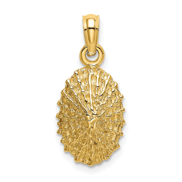 14K Textured Limpet Shell Charm-K8137