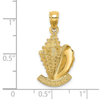 14K 2-D TURKS AND CAICOS Under Conch Shell Charm-K8156