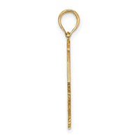 14K Polished ST. THOMAS Angelfish Charm-K8188