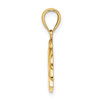 14K Polished BARBADOS Dolphin Charm-K8220