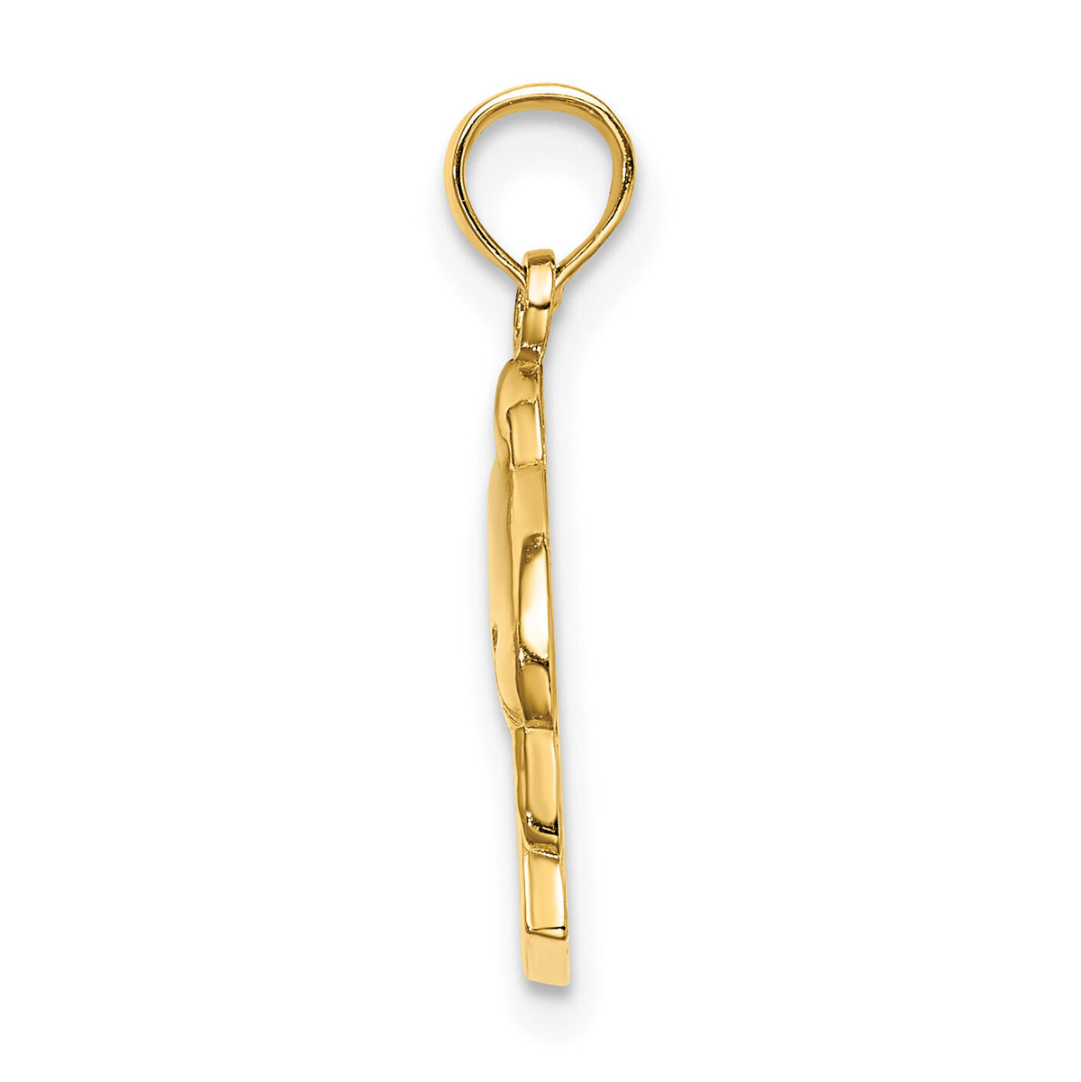 14K 2-D CURACAO Under Polished Dolphin Charm-K8221
