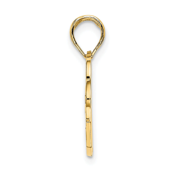 14K SAN DIEGO Banner Dolphins Charm-K8243