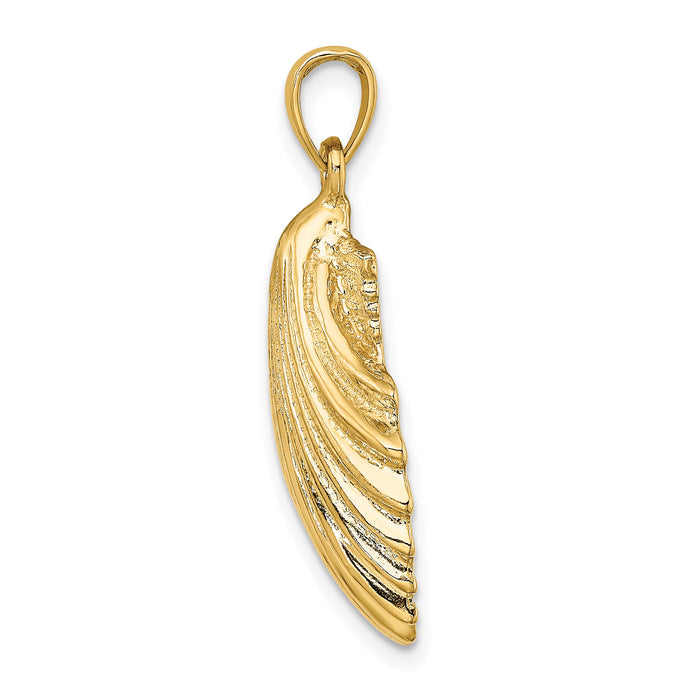 14K Polished Scallop Shell Charm-K8252