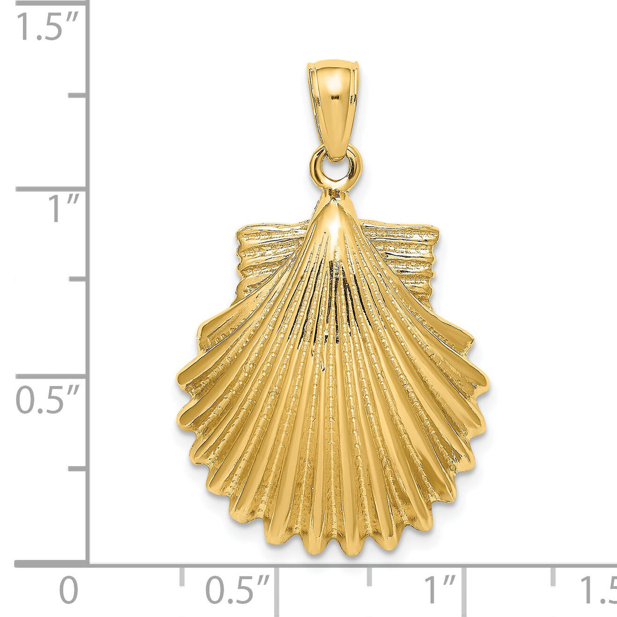 14K Polished Scallop Shell Charm-K8252