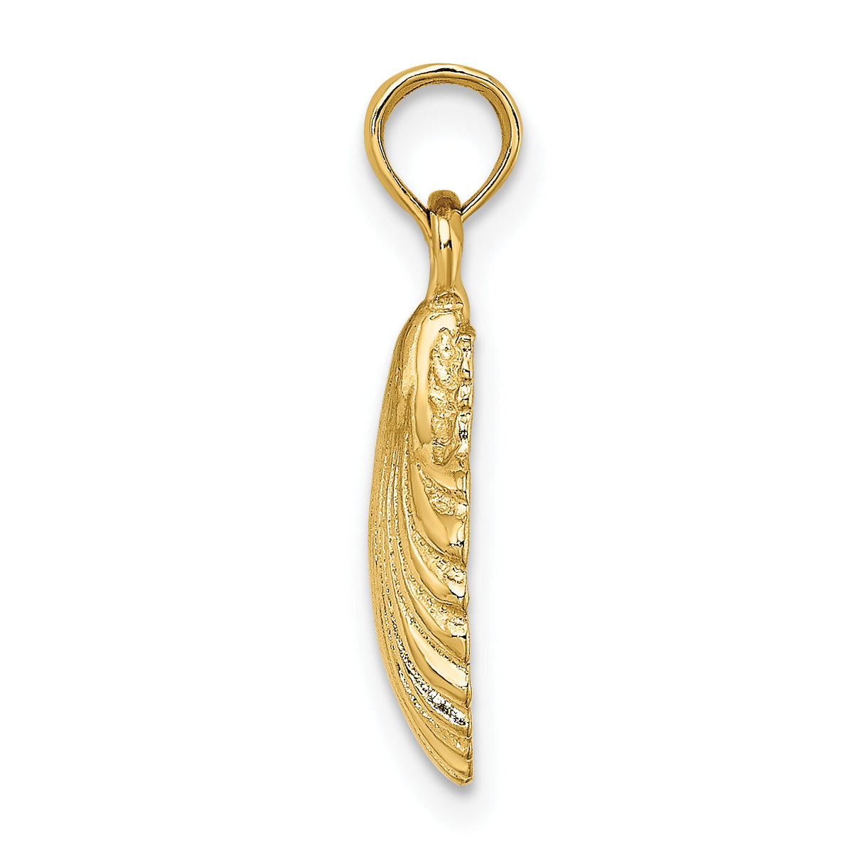 14K Polished Scallop Shell Charm-K8253