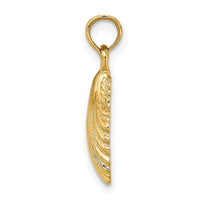 14K Polished Scallop Shell Charm-K8253