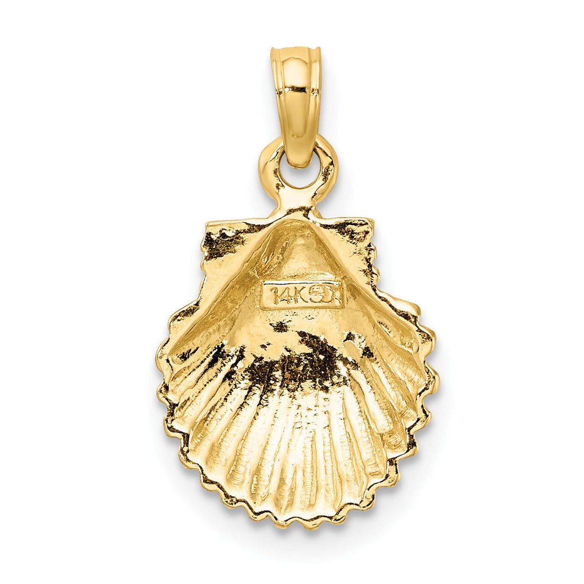 14K Polished Scallop Shell Charm-K8253