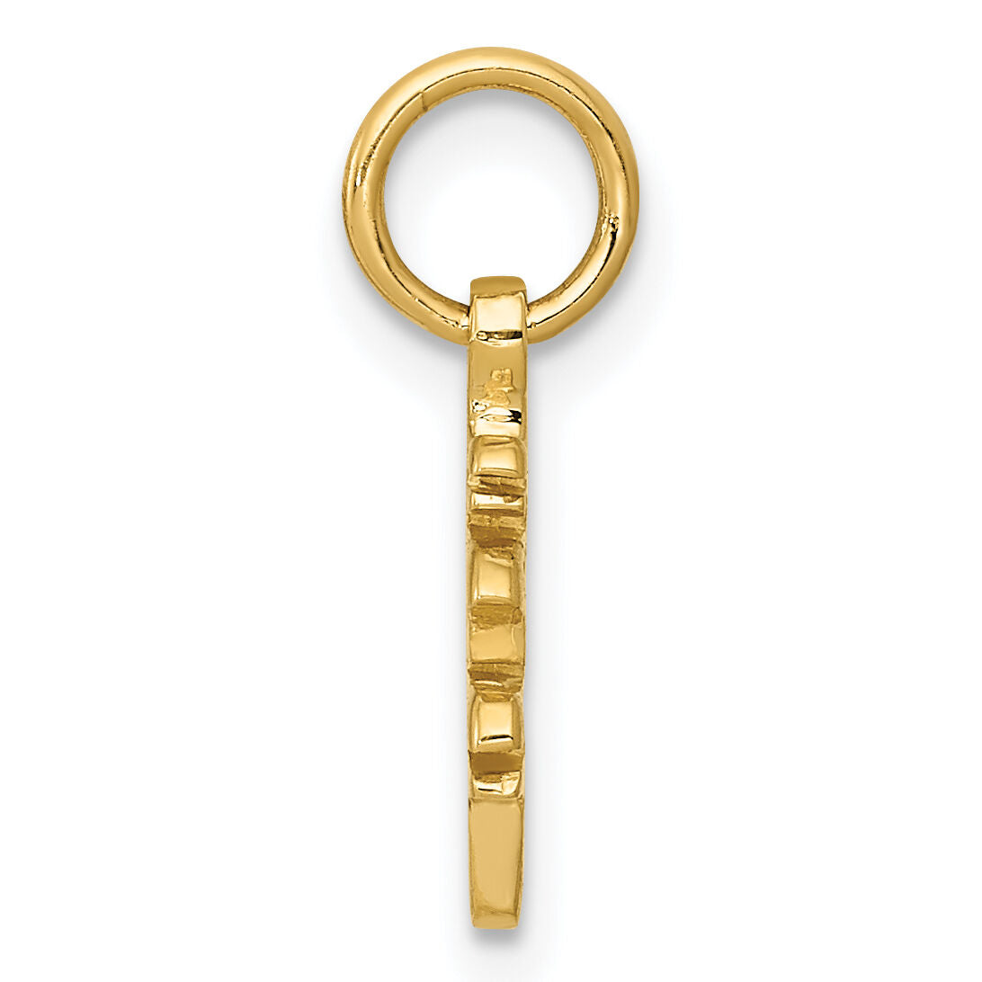 14k Solid Polished Chinese Long Life Charm-K826