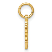 14k Solid Polished Chinese Long Life Charm-K826