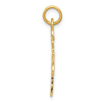 14k Solid Polished Chinese Long Life Charm-K829
